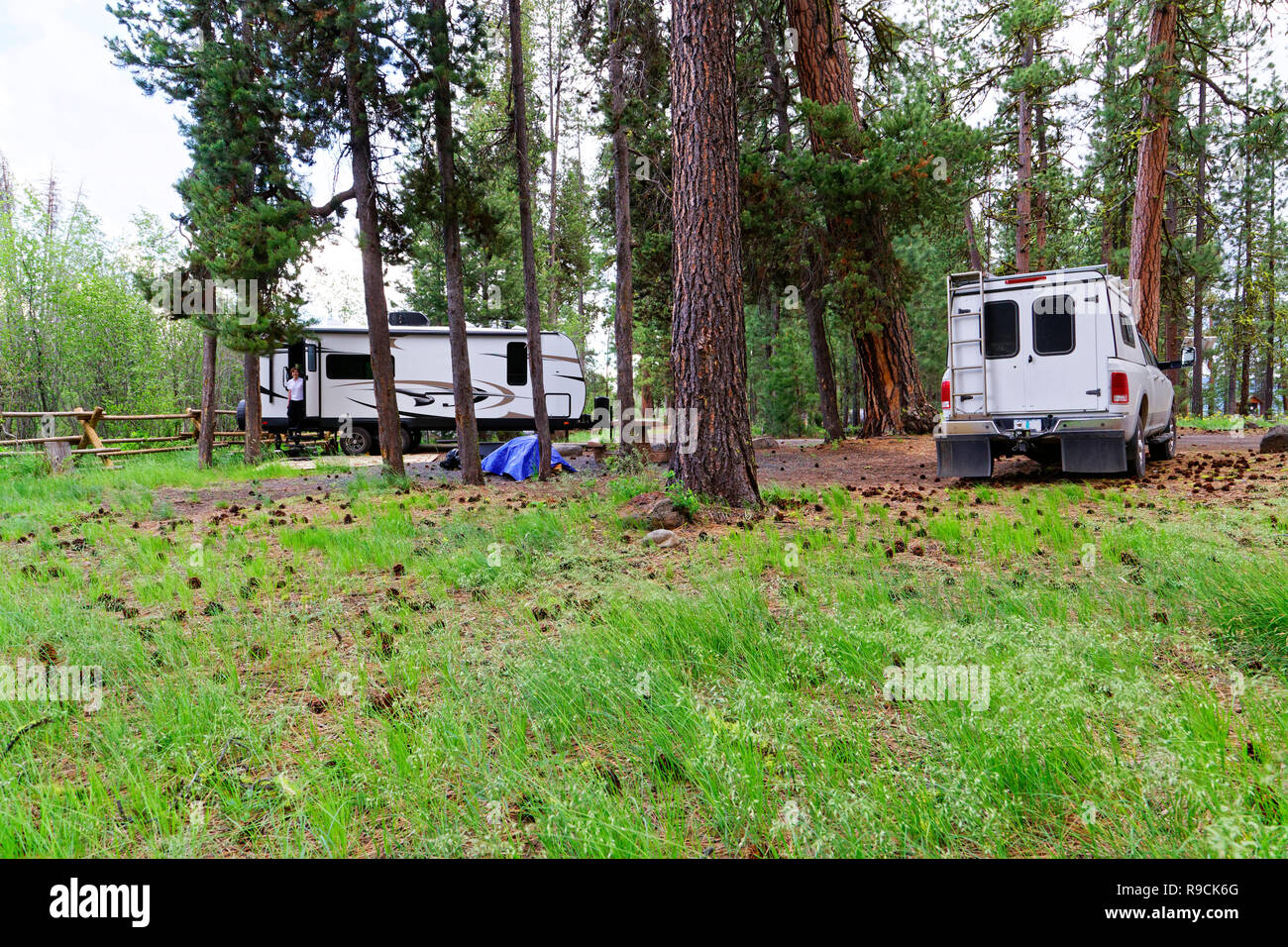 42,894.03537 woman RV trailer camping & pickup truck, old ponderosa pines Malheur National Forest, Big Creek Campground, Logan’s Prairie, Oregon, USA Stock Photo