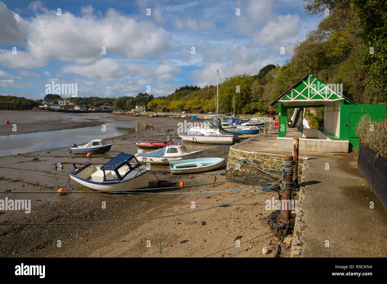 Truro River; Boscawen Park; Cornwall; UK Stock Photo Alamy