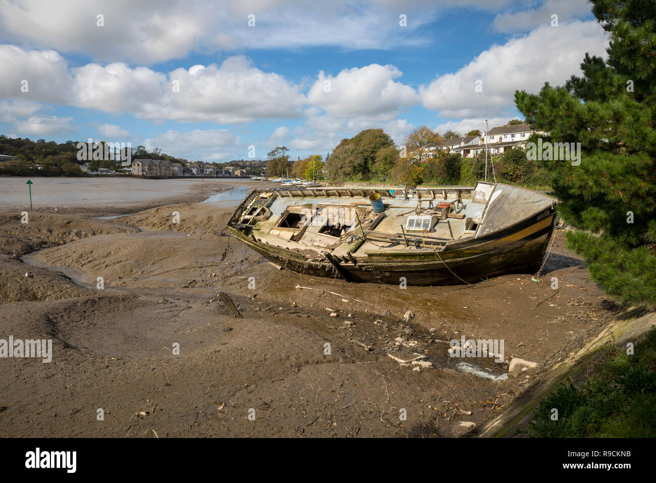 Truro River; Boscawen; Truro; Cornwall; UK Stock Photo