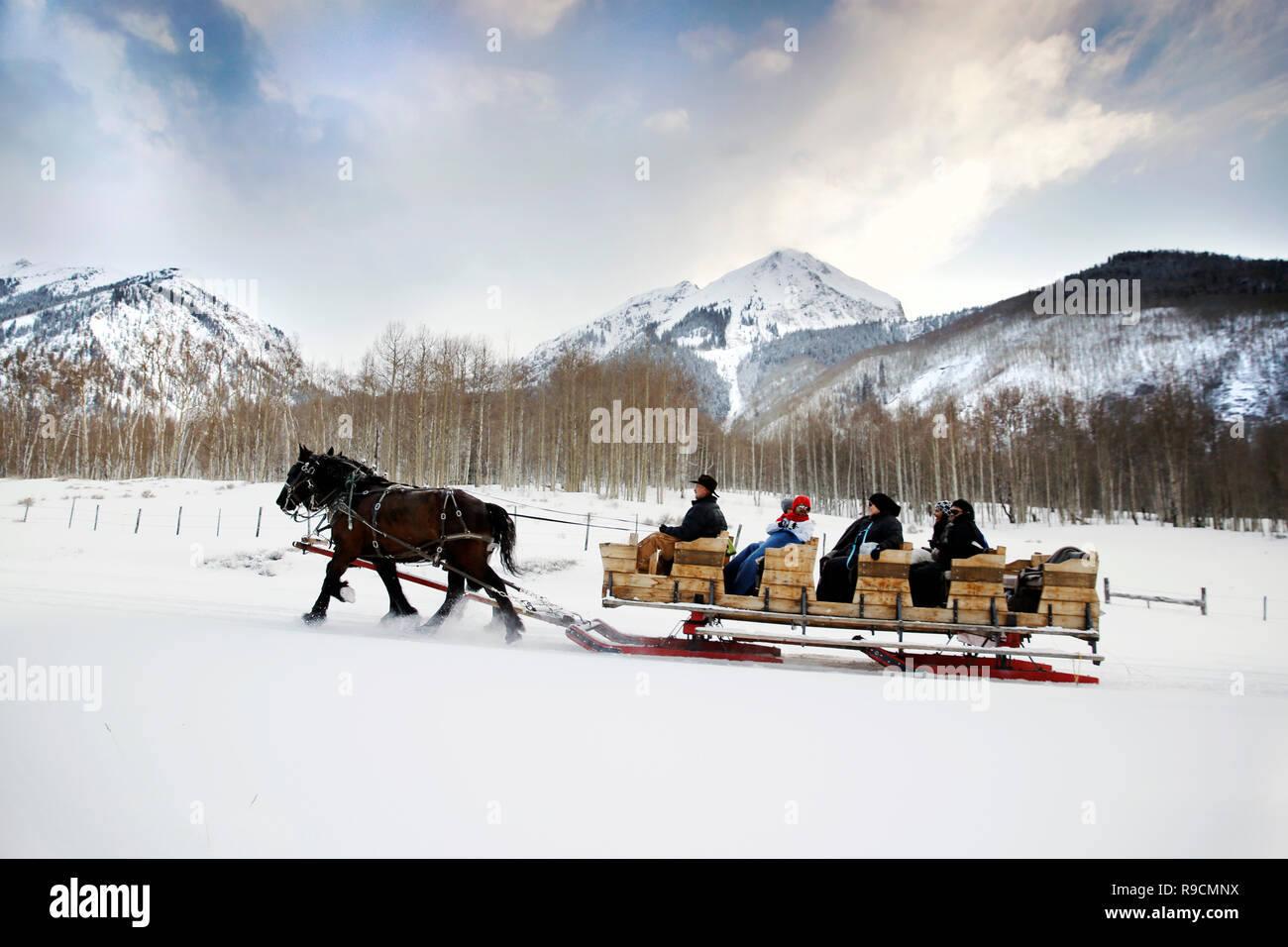 USA, Colorado, Aspen, horses pull a sleigh full of people through the ...