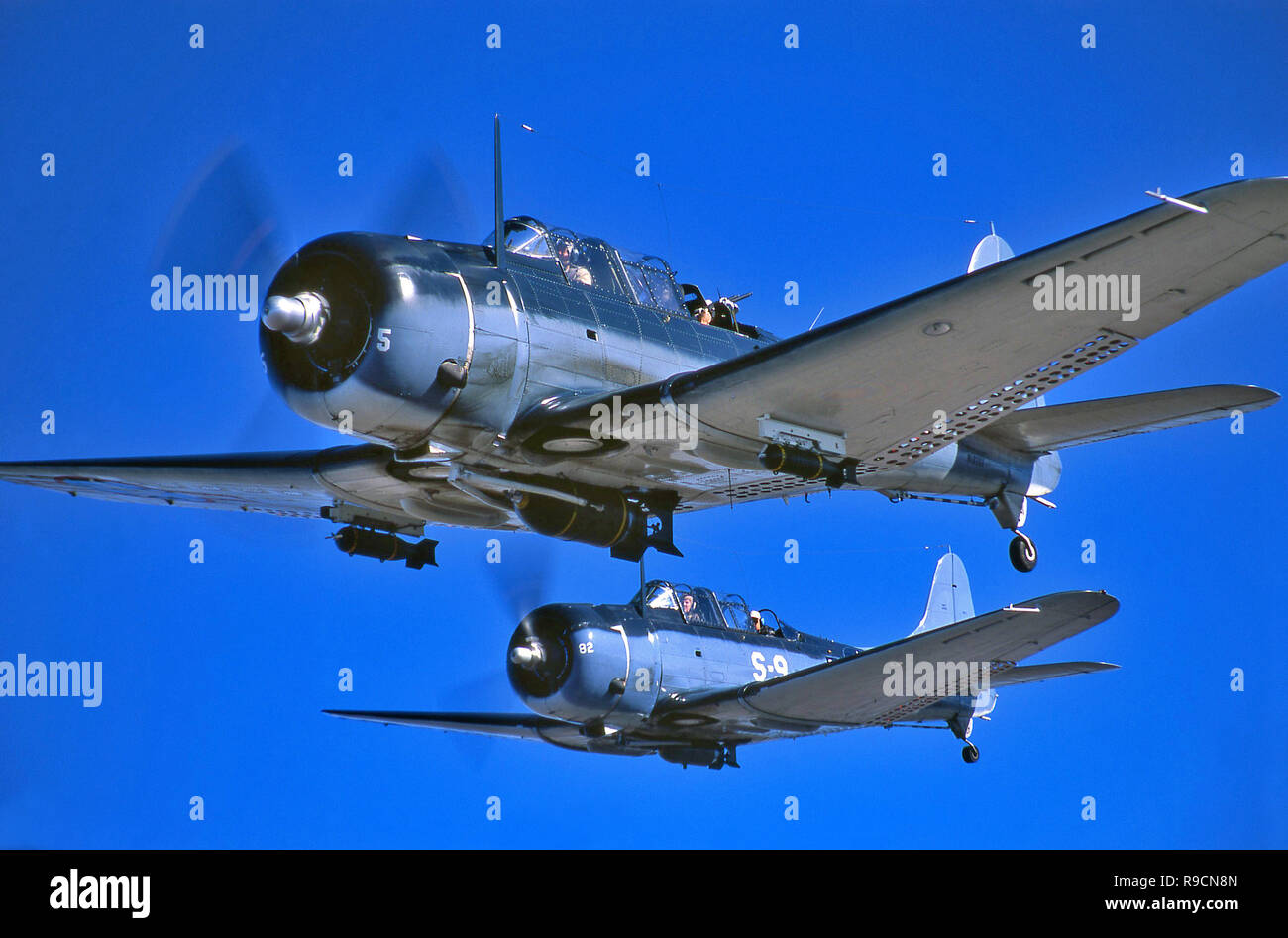 WWII Douglas SBD  Dauntless Dive Bomber Stock Photo