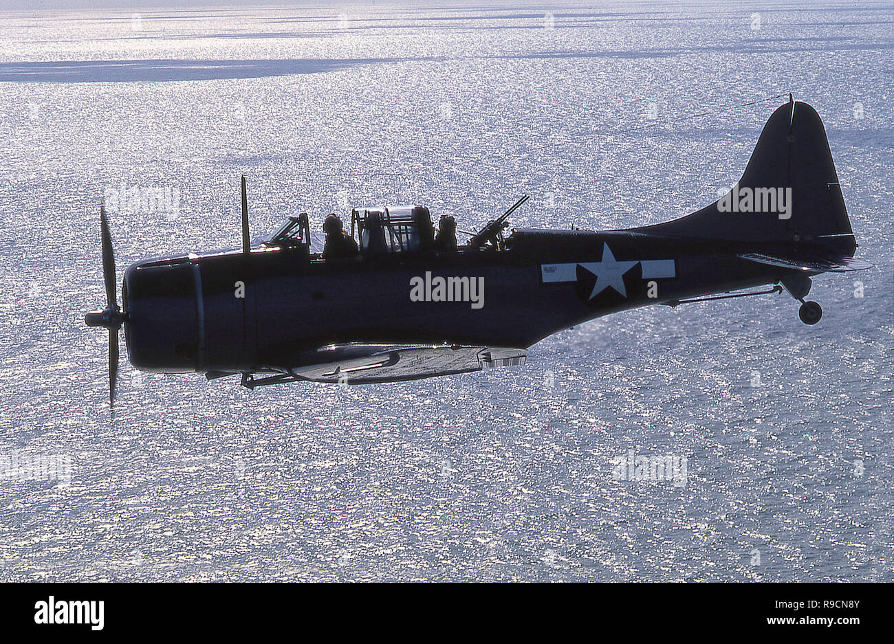 WW2 Picture Photo SBD Dauntless dive bomber  in the Pacific 0038