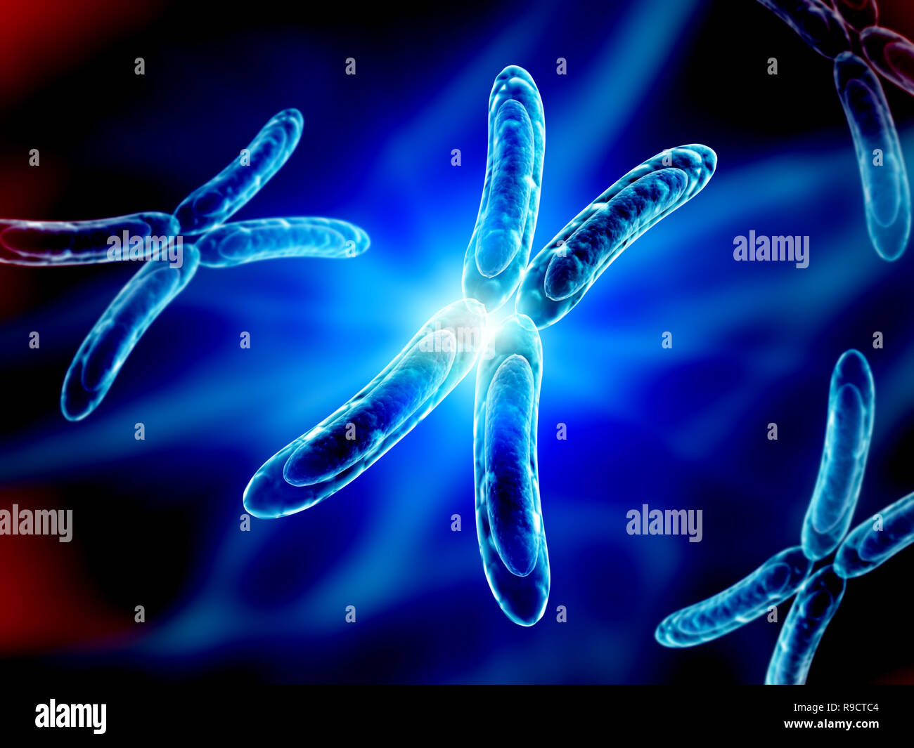 3d Render Of Chromosomes Exploring The Science Of Life Biology And Medicine  Background Genome Dna Strand Clone Background Image And Wallpaper for  Free Download