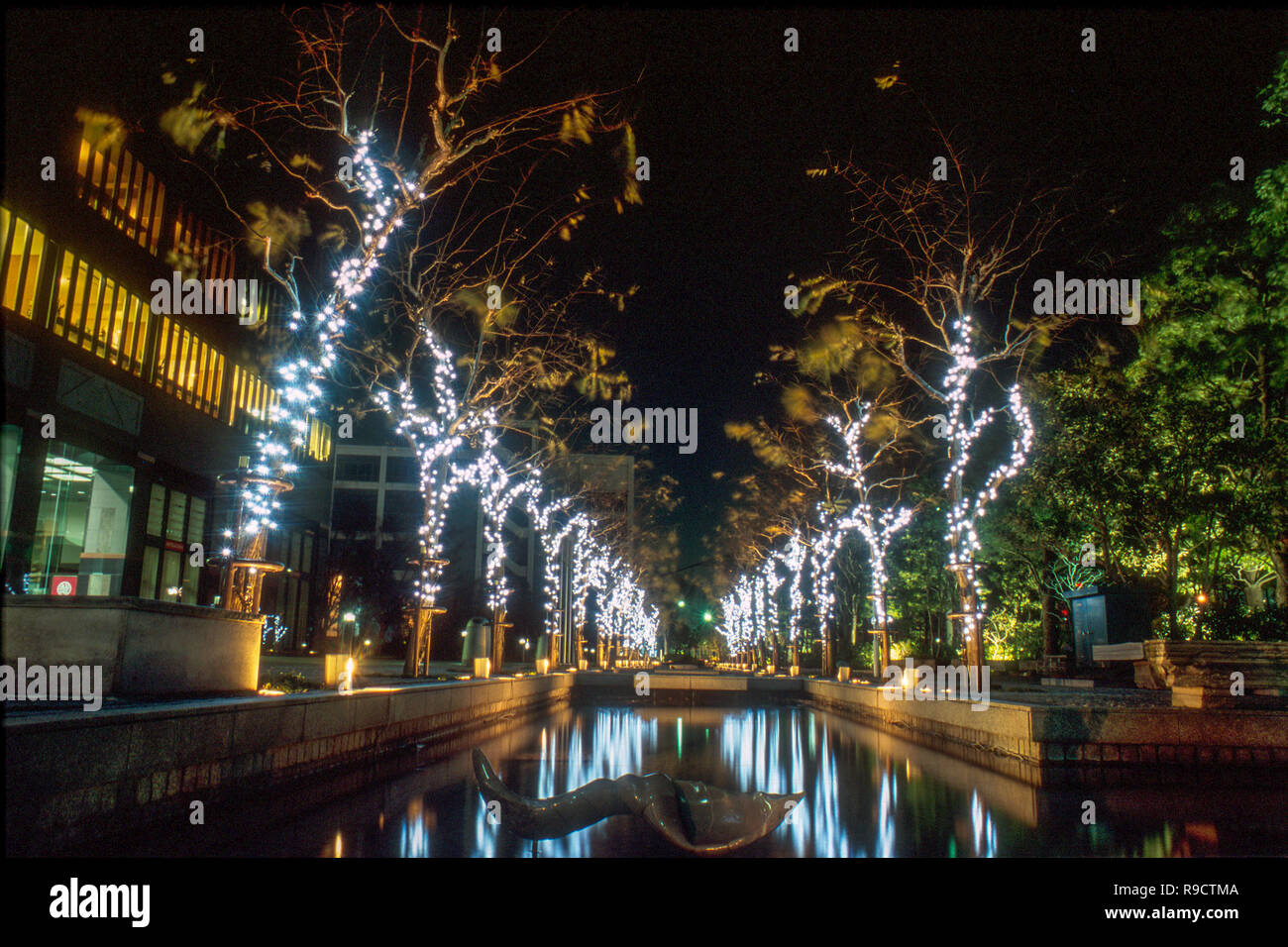 Christmas lights illuminating the streets of Osaka, being reflected in