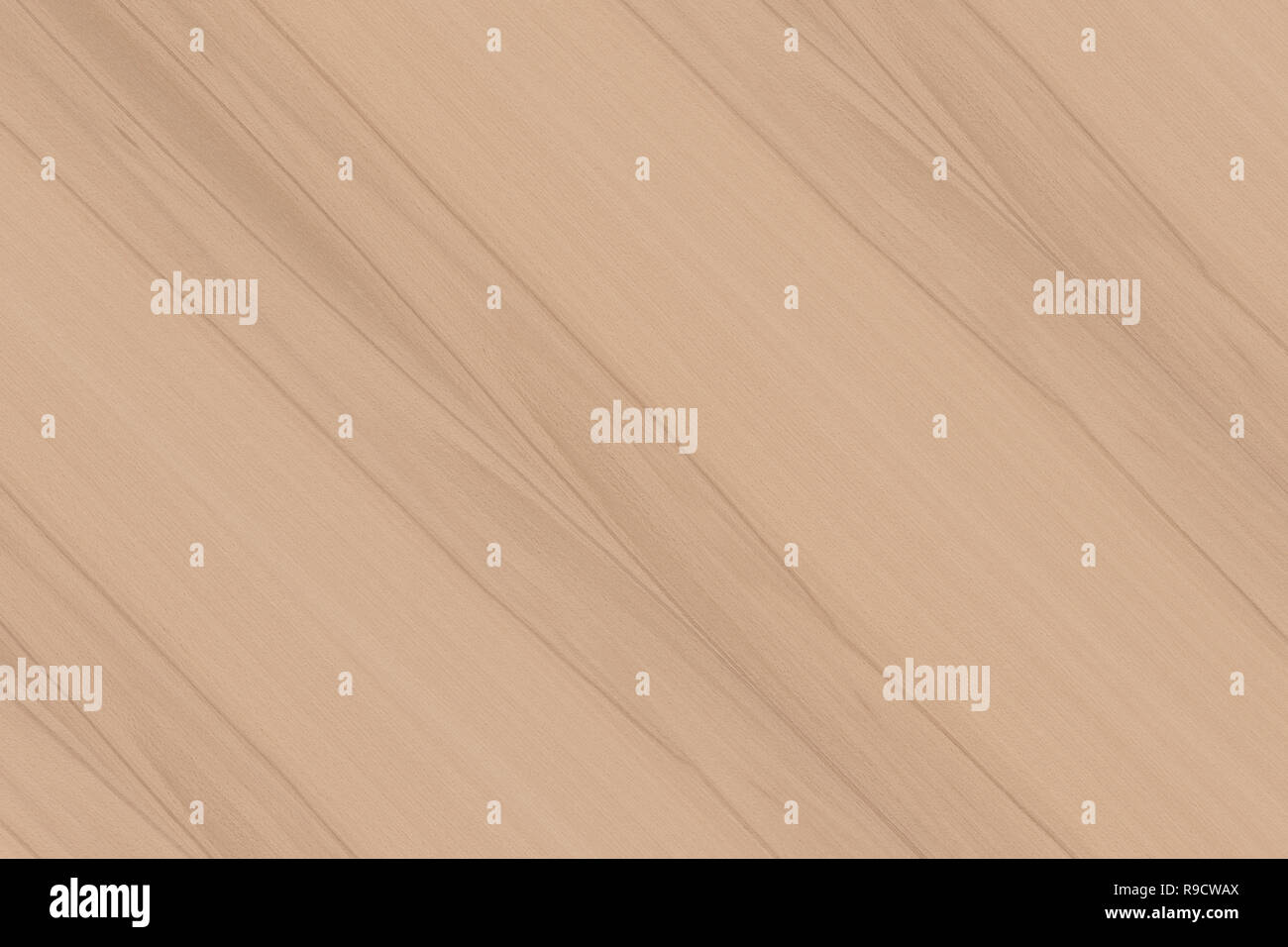 Light Brown Beech Tree Wood Wallpaper Structure Surface Texture