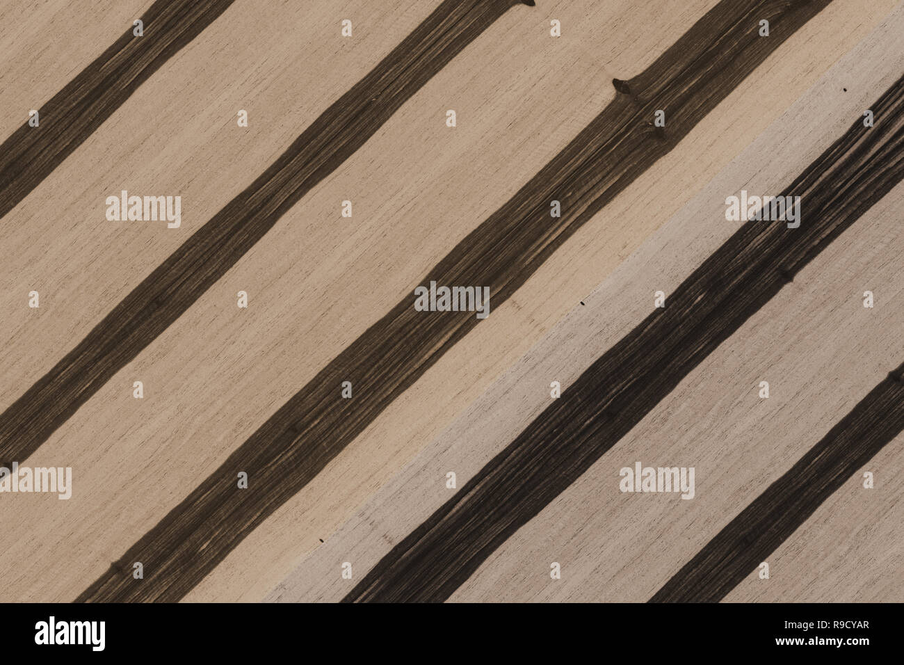 african ebony tree wooden structure texture background wallpaper Stock ...