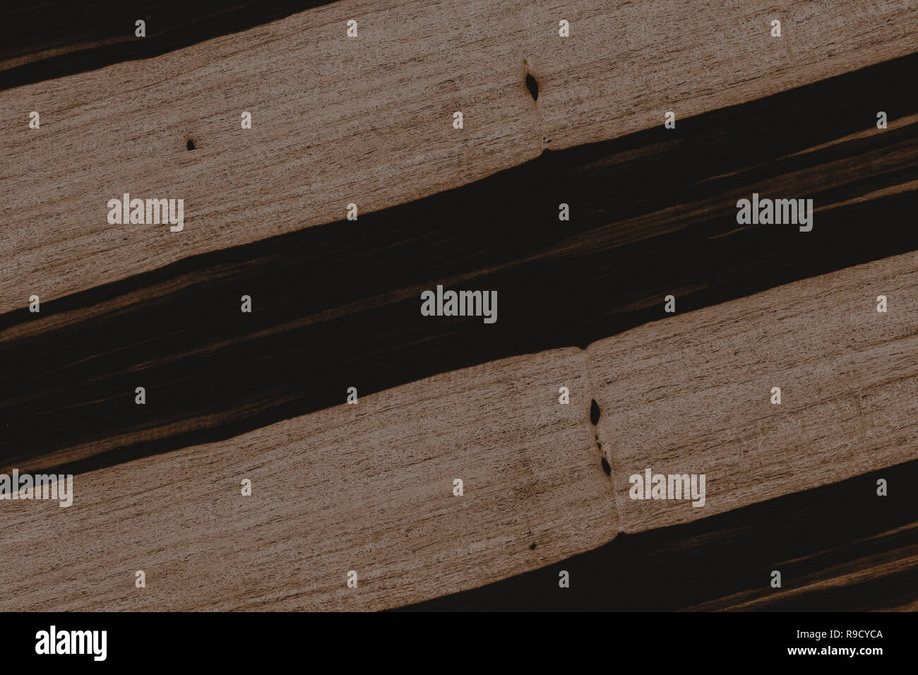 african ebony tree wooden structure texture background wallpaper Stock ...