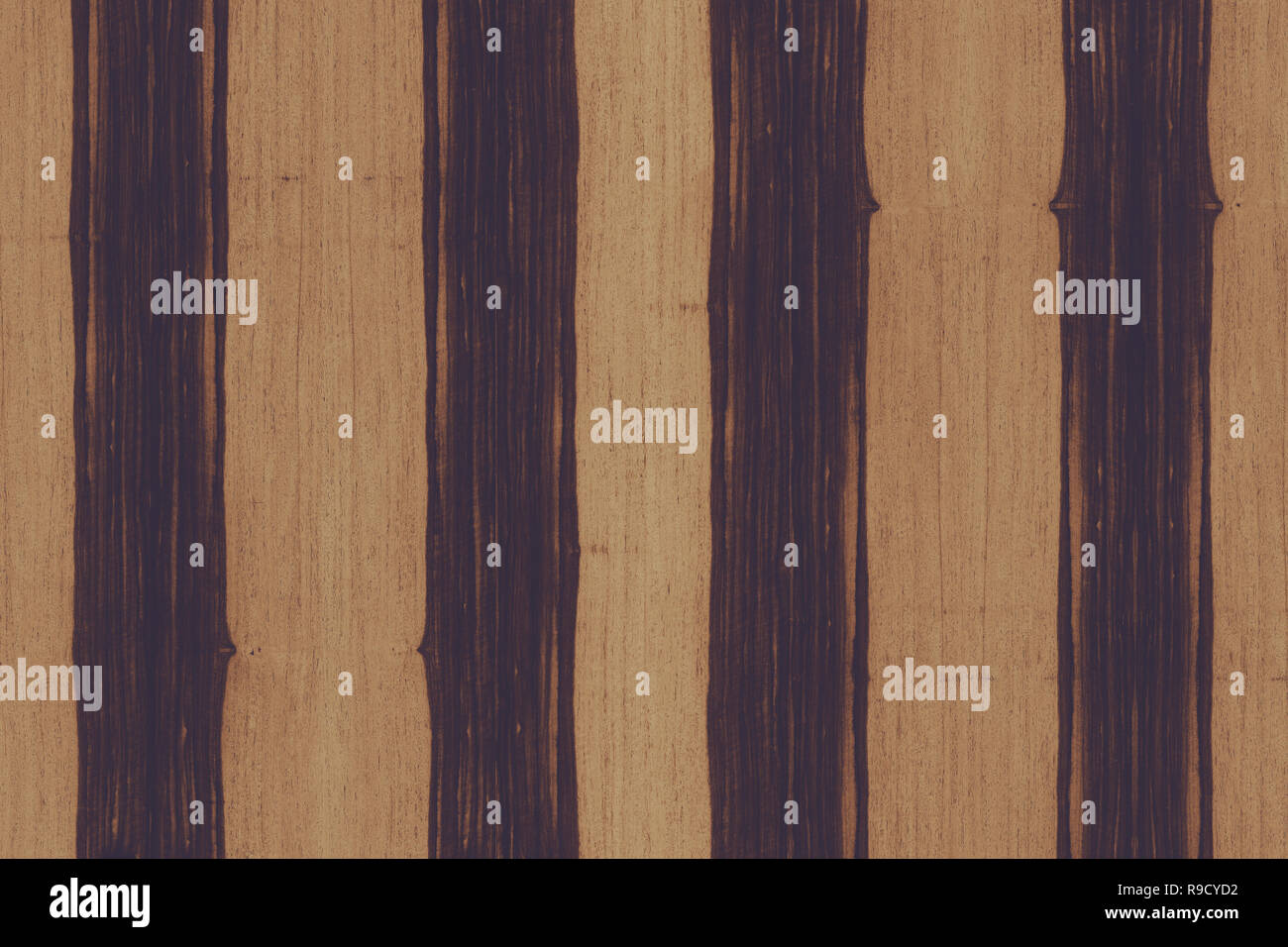 African Ebony Tree Wooden Structure Texture Background Wallpaper