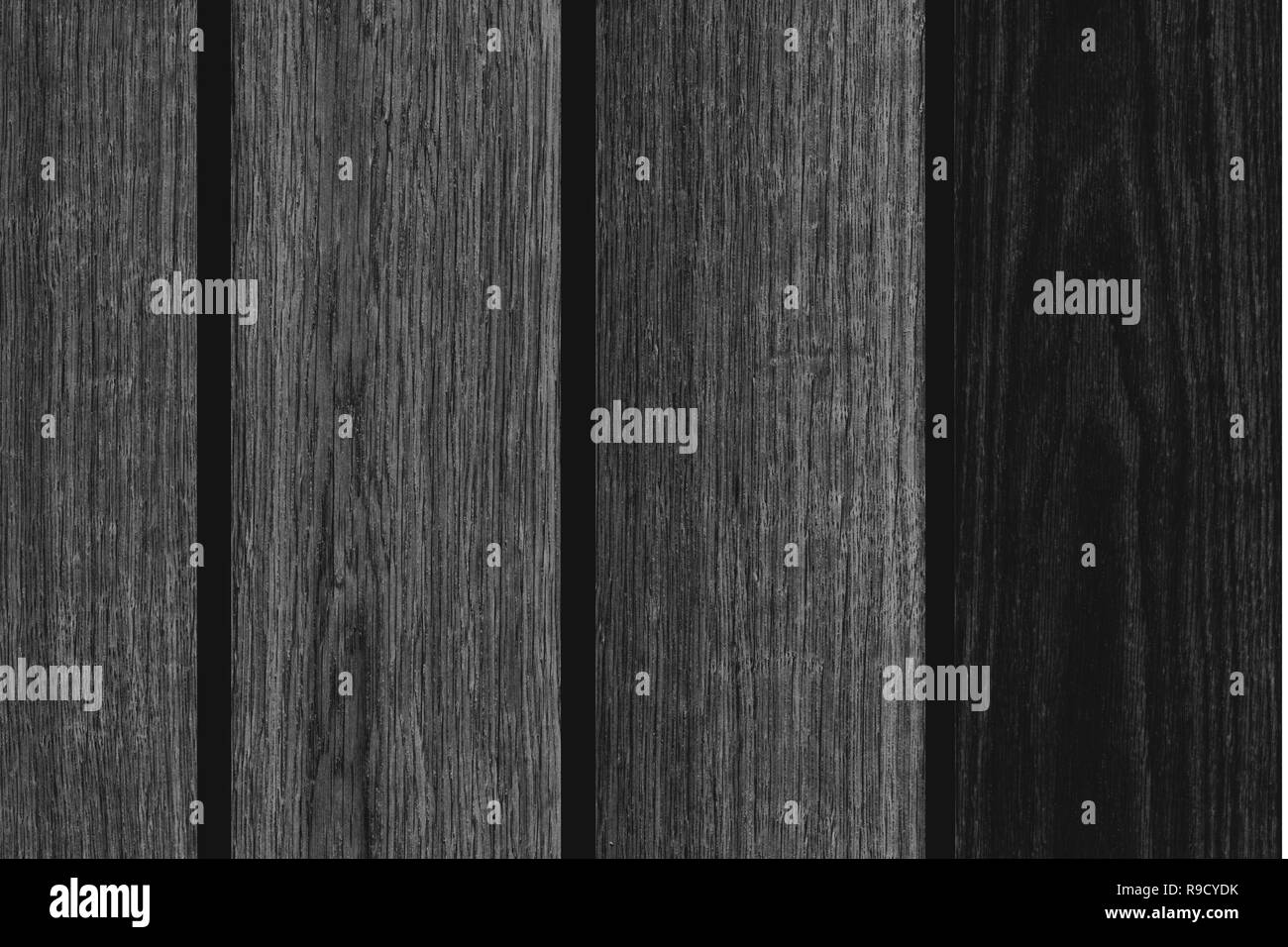 african ebony tree wooden structure texture background wallpaper Stock Photo