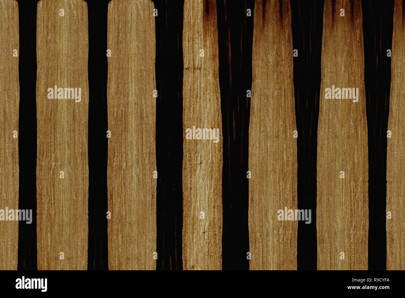african ebony tree wooden structure texture background wallpaper Stock ...