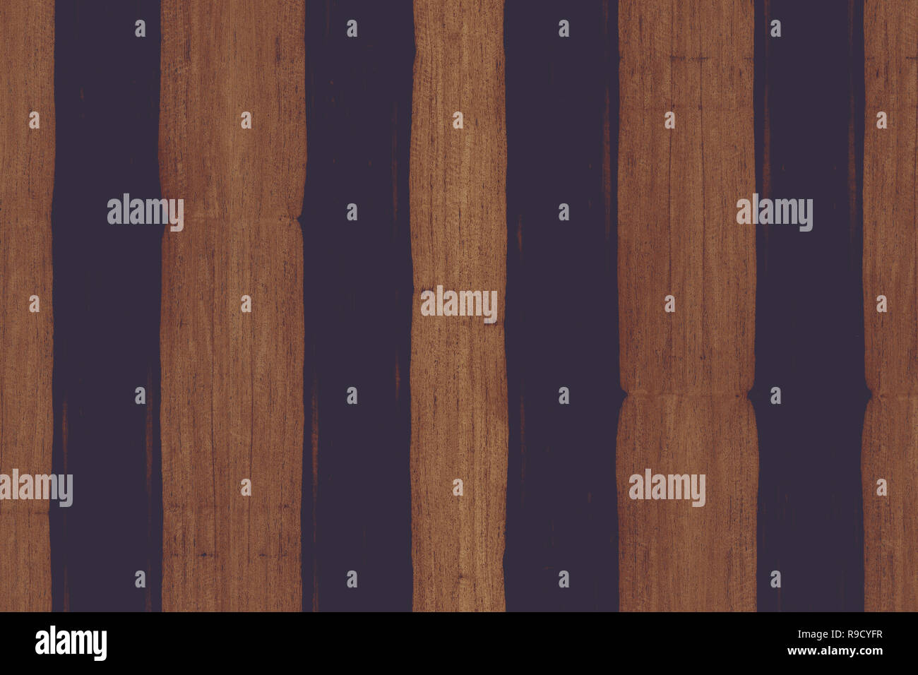 african ebony tree wooden structure texture background wallpaper Stock ...