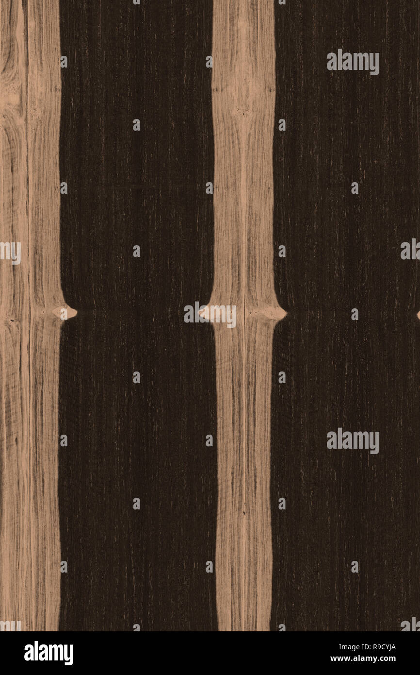 African Ebony Tree Wooden Structure Texture Background Wallpaper