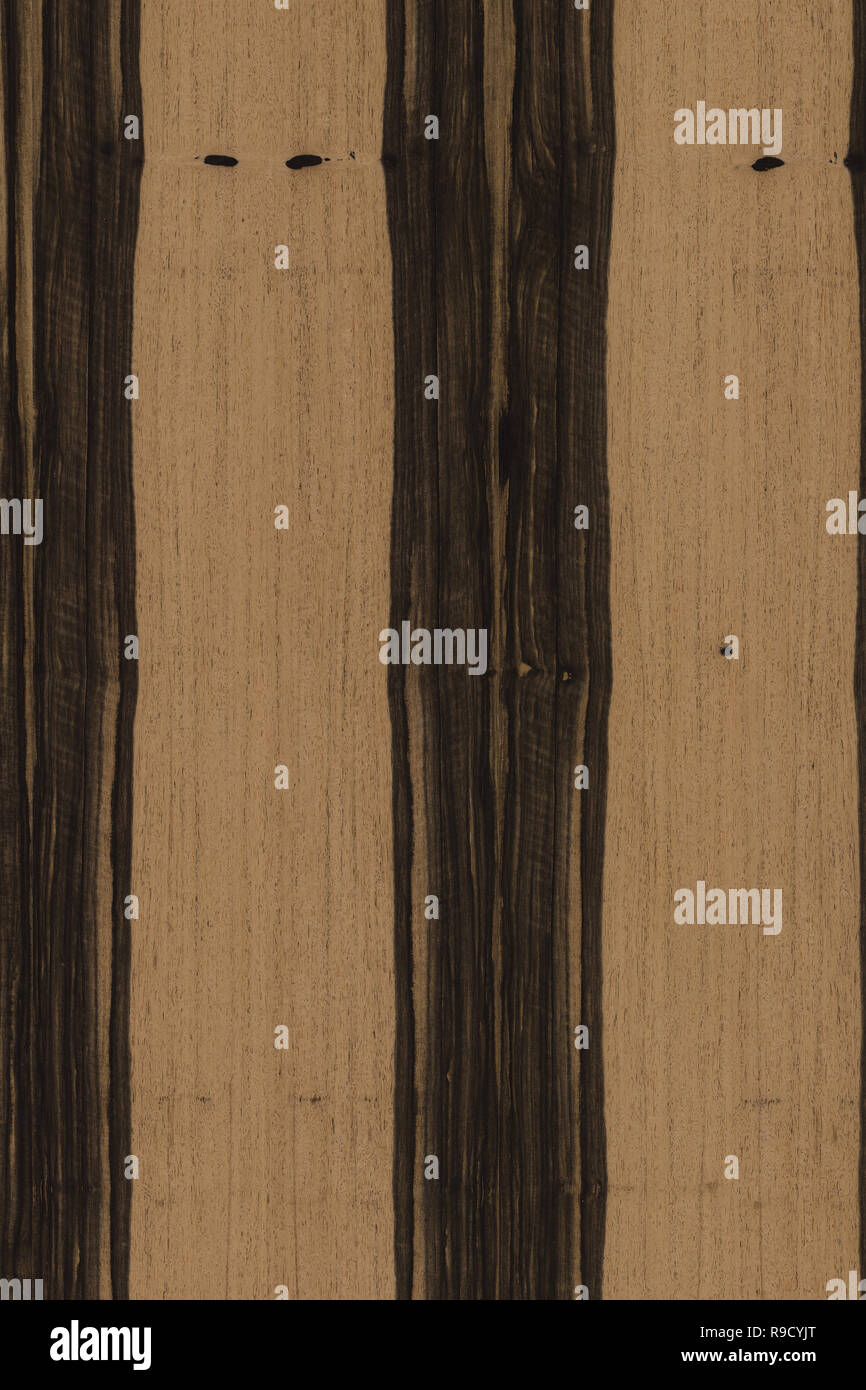 african ebony tree wooden structure texture background wallpaper Stock ...