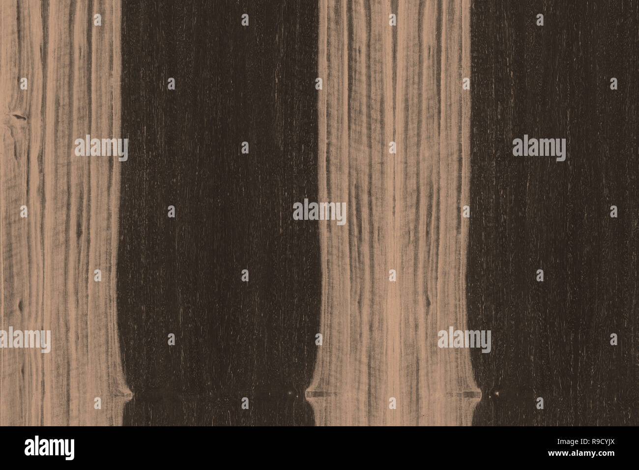 african ebony tree wooden structure texture background wallpaper Stock ...
