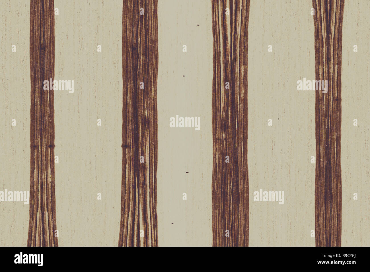 african ebony tree wooden structure texture background wallpaper Stock  Photo - Alamy