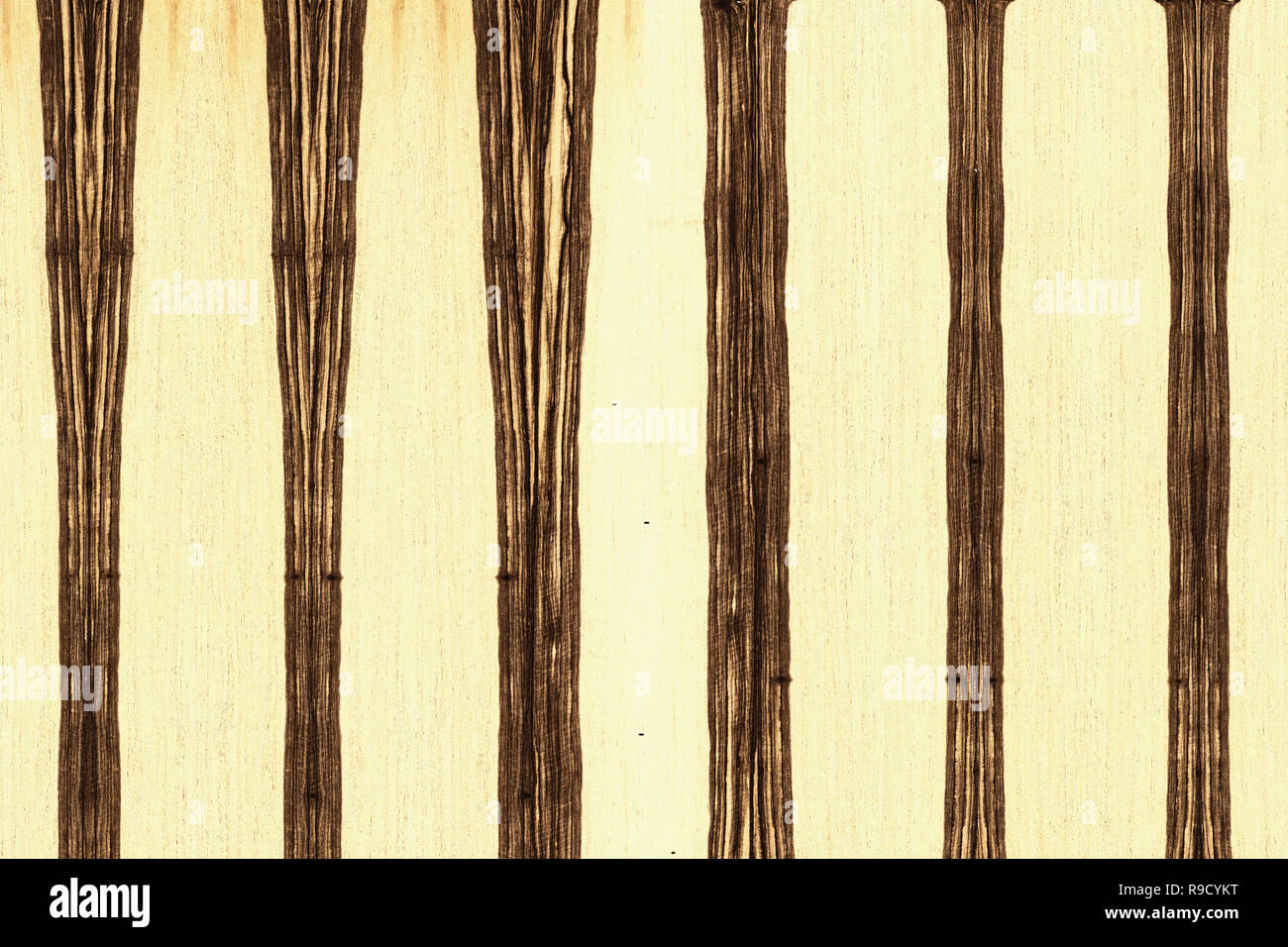 african ebony tree wooden structure texture background wallpaper Stock ...