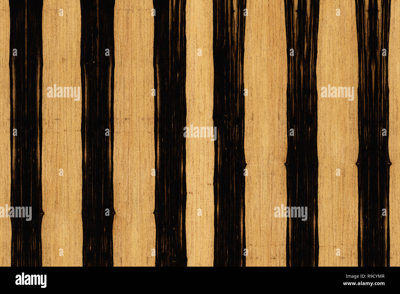african ebony tree wooden structure texture background wallpaper Stock  Photo - Alamy