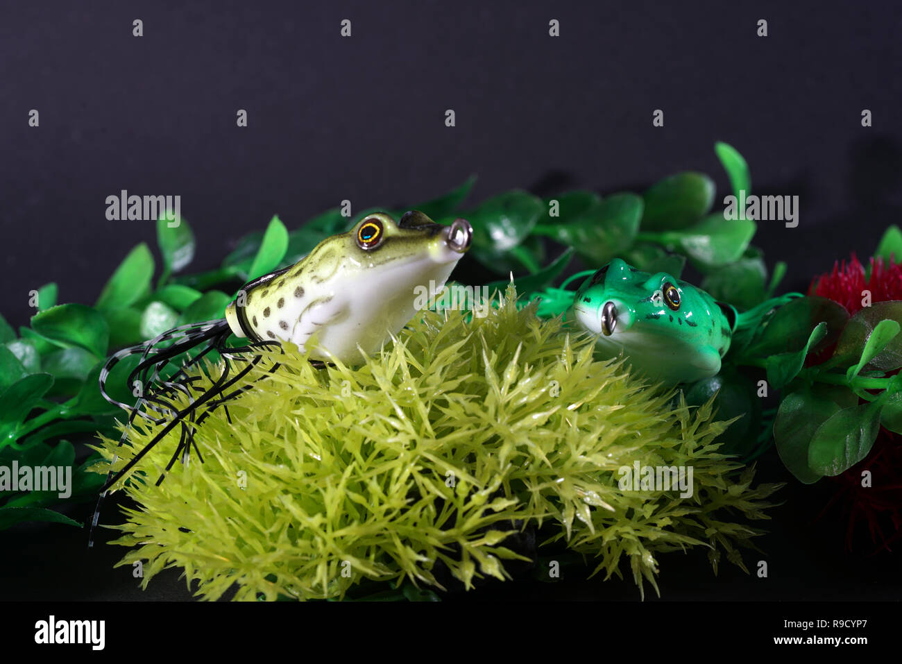 https://c8.alamy.com/comp/R9CYP7/frogs-made-of-plastic-with-sharp-hooks-are-well-suited-as-artificial-baits-on-predatory-fish-R9CYP7.jpg