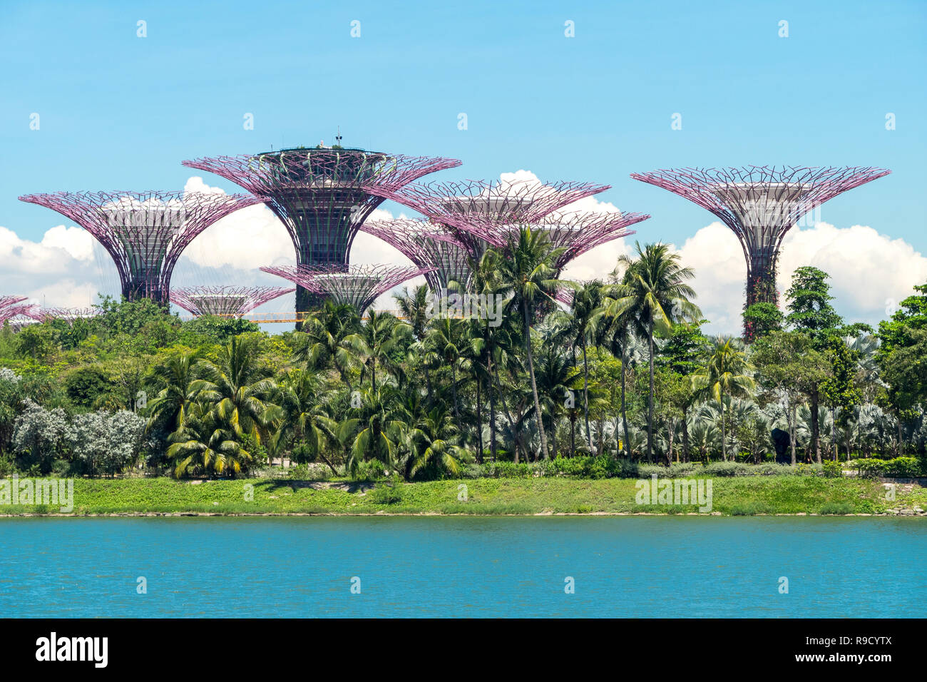 Sunny view of artificial trees in Gardens by the bay of Singapore Stock