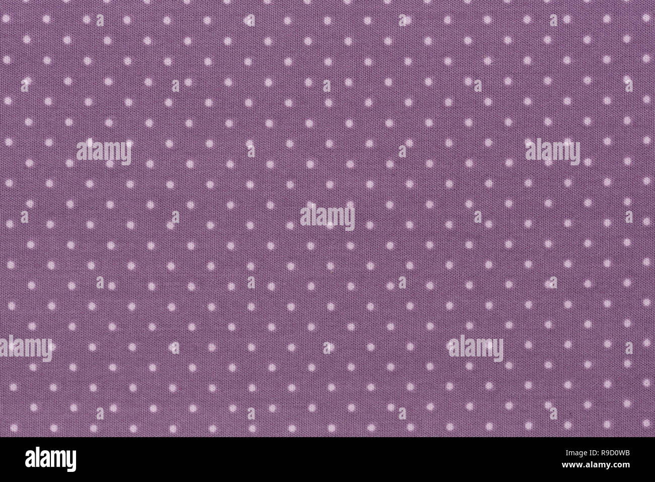 Purple fabric and white tiny polka dots background. Stock Photo
