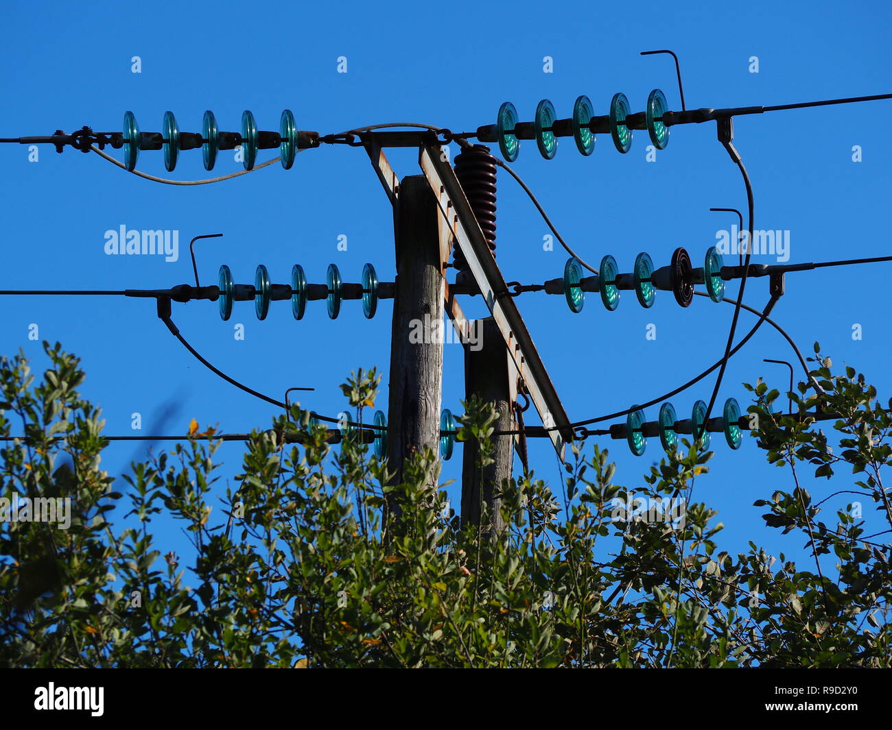 Overhead electricity power lines with blue glass insulator disks above a green hedge with a clear blue sky Stock Photo