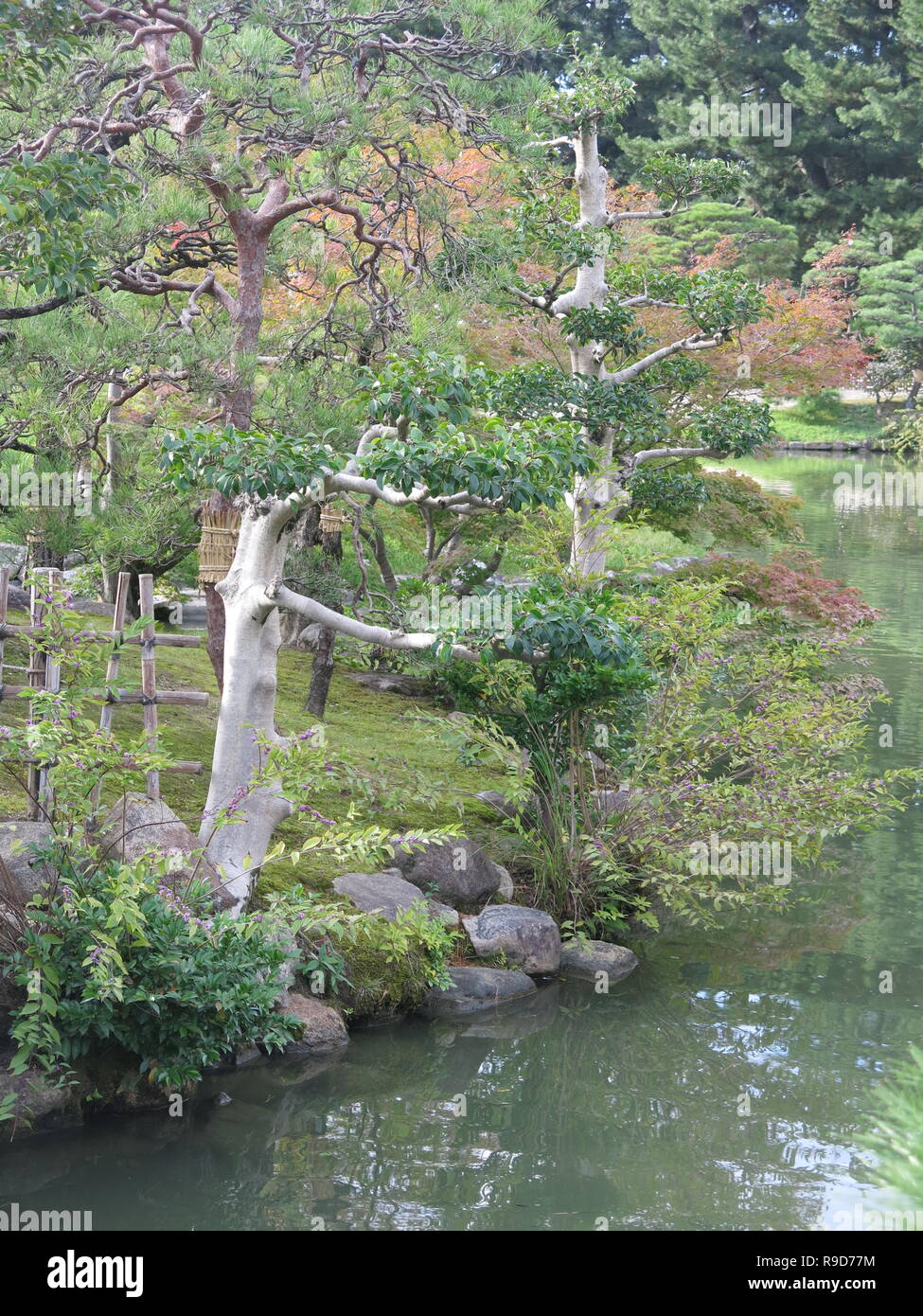 Japan cloud pruning hi-res stock photography and images - Alamy