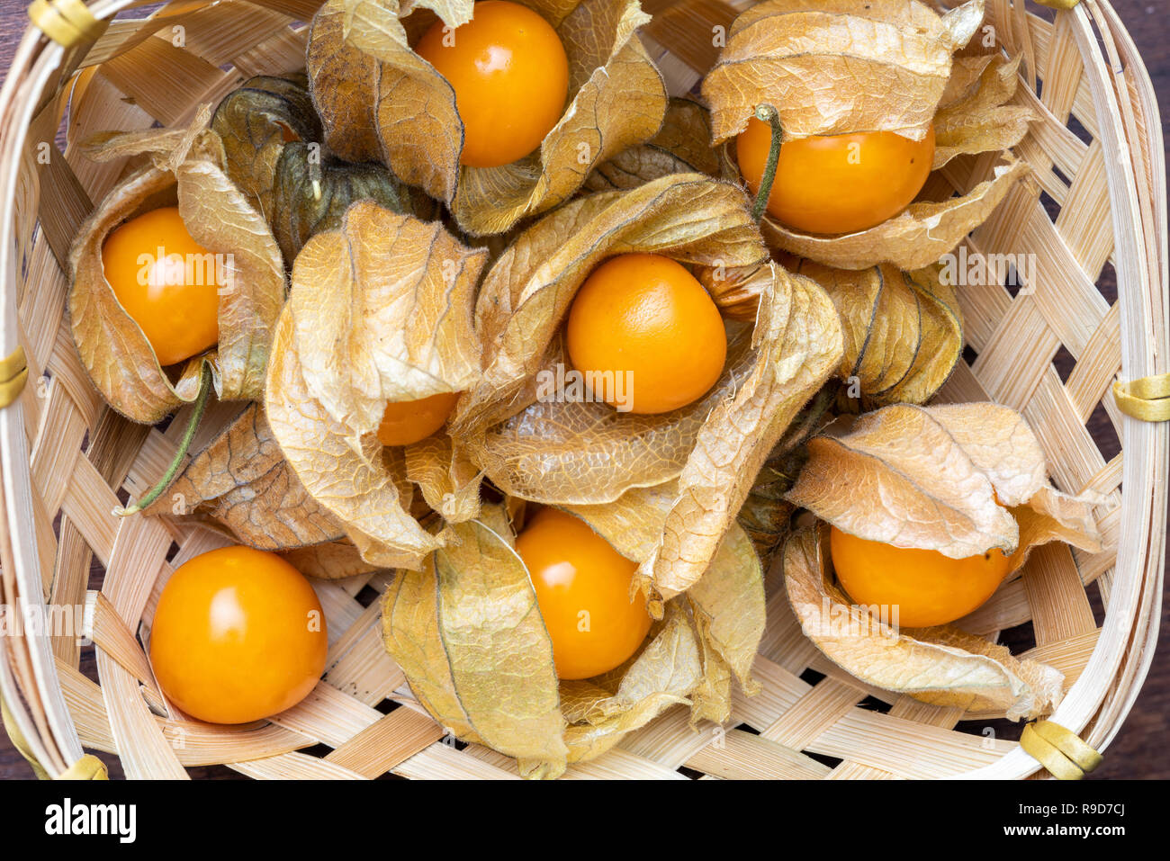 Basket with flowers and fruits of Fisalis (Physalis peruviana). Viewed from above. Stock Photo