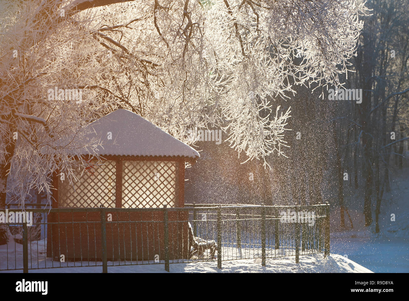 Sunny winter snowfall theme. Bench with small garden house under frozen tree Stock Photo
