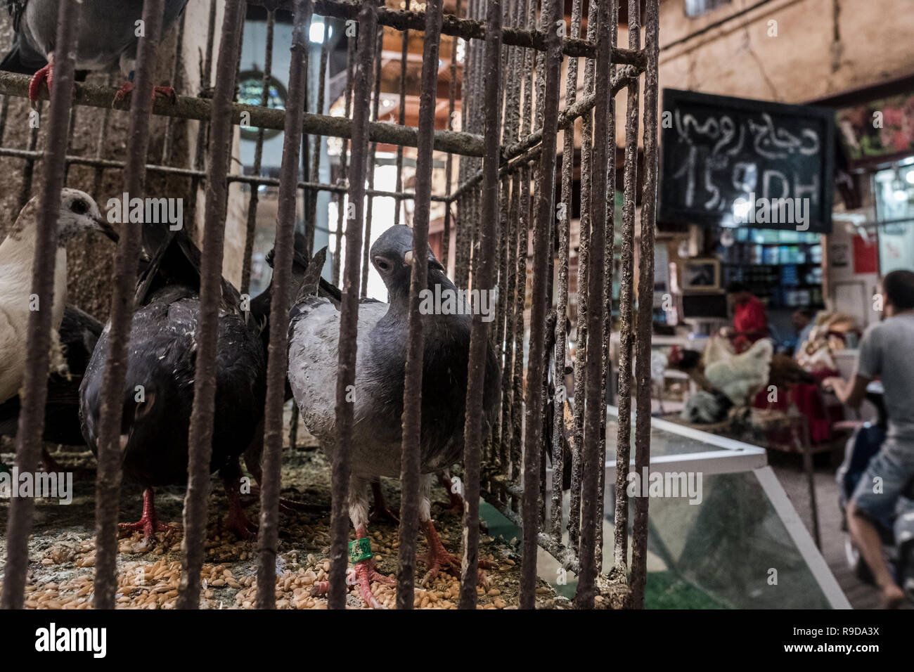Butcher Shop In Medina High Resolution Stock Photography And Images Alamy