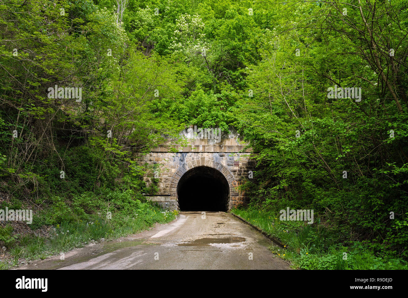 tunnel Archives  Slides and Sunshine