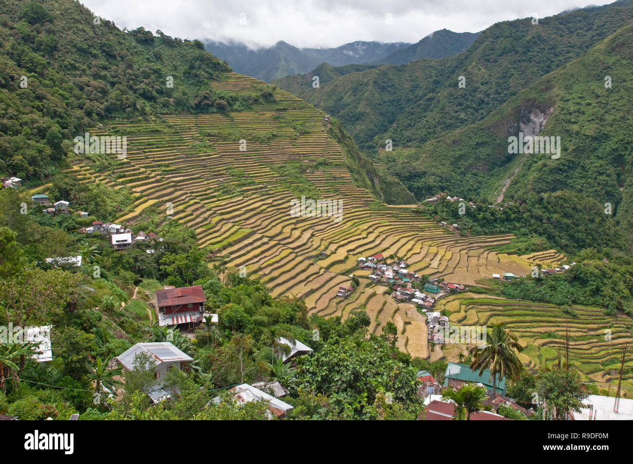Batad Rice Terraces, Ifugao Province, Cordillera Region, Luzon, Philippines, Asia, South Asia, UNESCO World Heritage Stock Photo