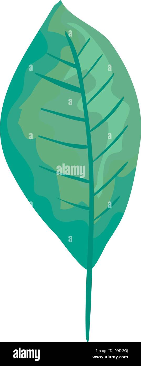 ecology leaf plant icon Stock Vector Image & Art - Alamy