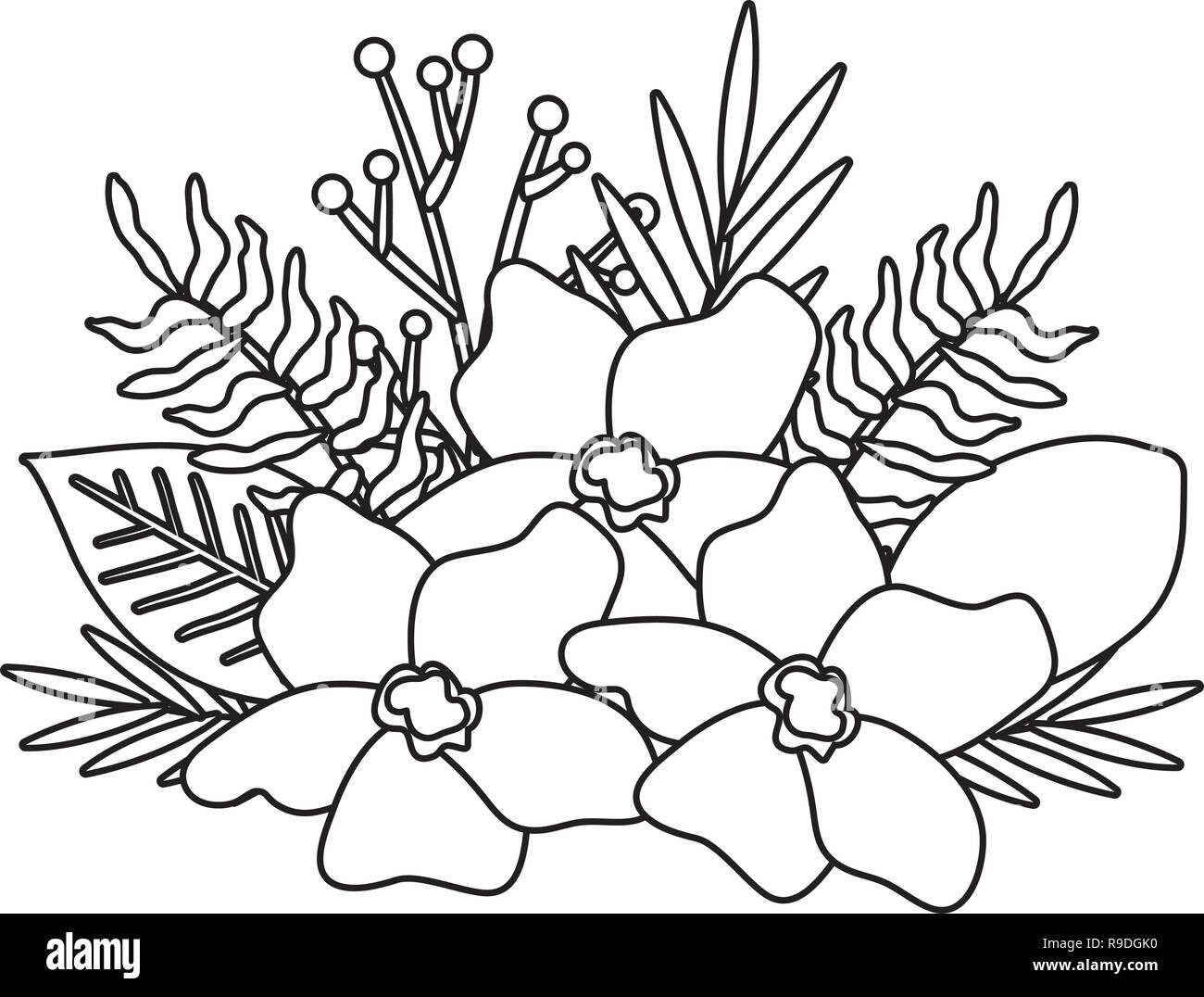 beautiful flowers and leafs decoration Stock Vector Image & Art - Alamy