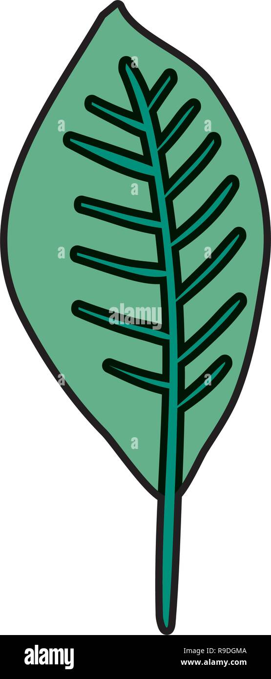ecology leaf plant icon Stock Vector Image & Art - Alamy