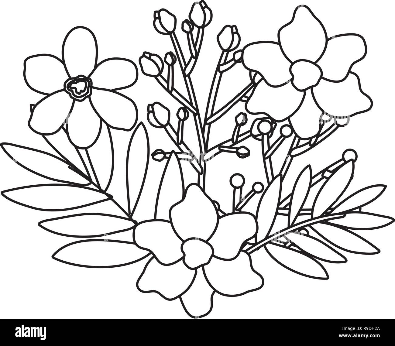 beautiful flowers and leafs decoration Stock Vector Image & Art - Alamy
