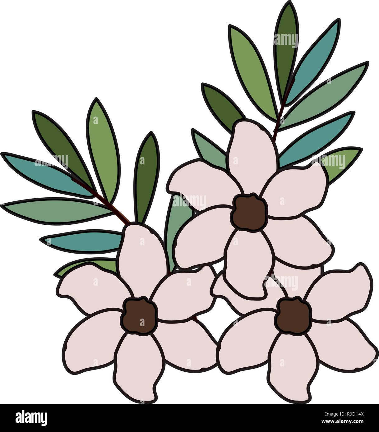beautiful flowers and leafs decoration Stock Vector Image & Art - Alamy