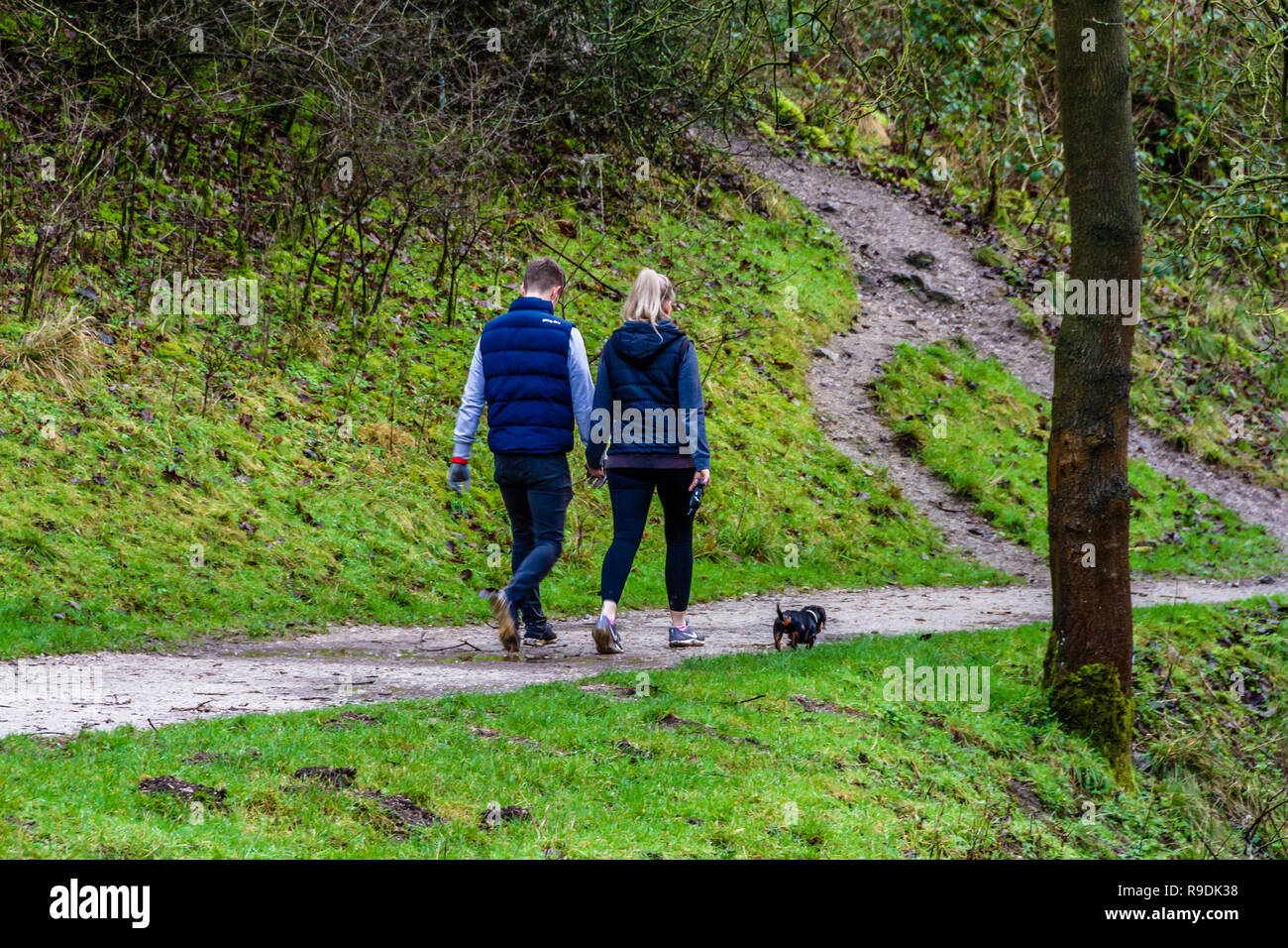 A young couple walk their dog in Dovedale, the Peak District National ...