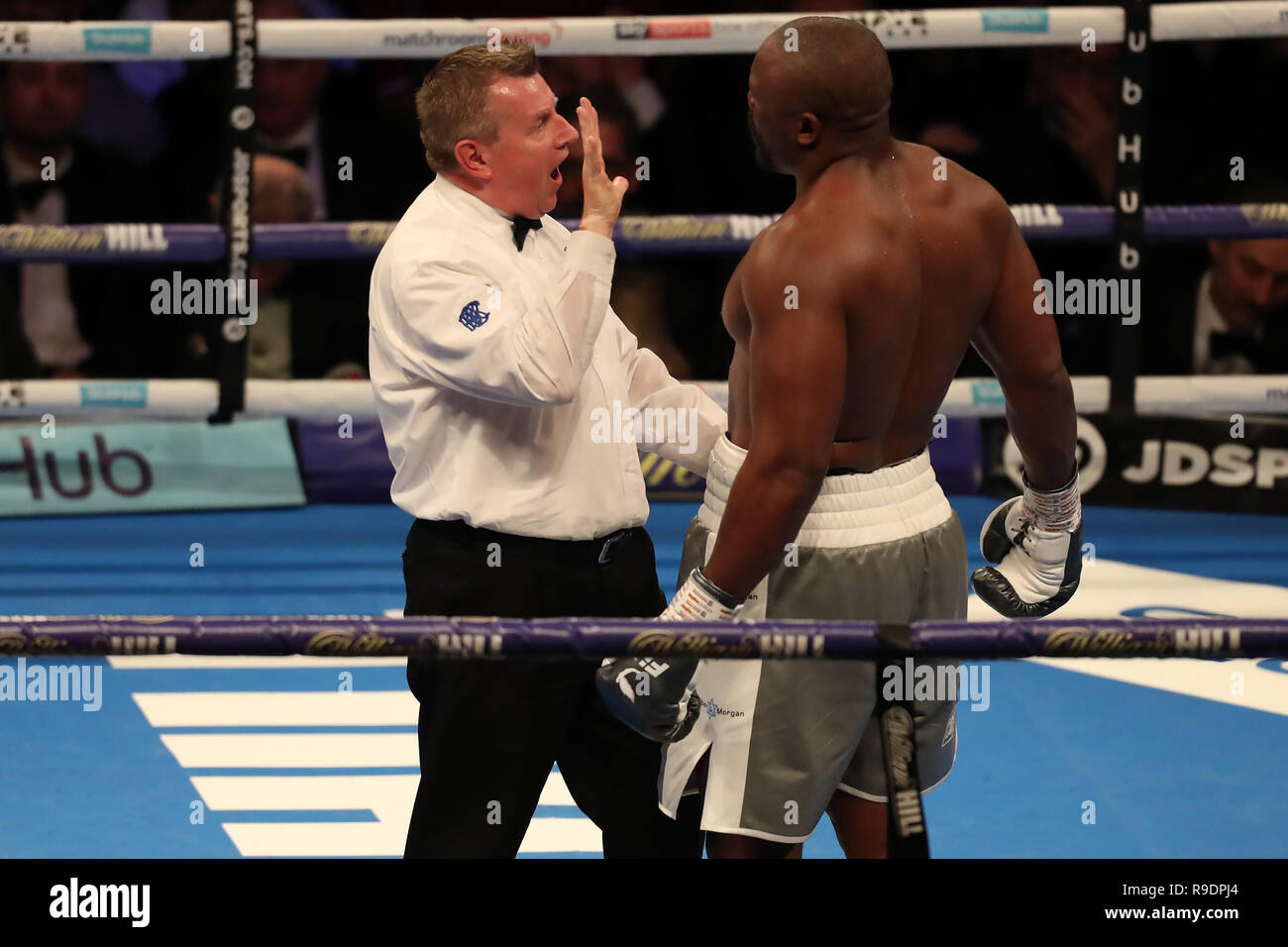 London, UK. 22nd Dec, 2018. WBC Silver and WOB International