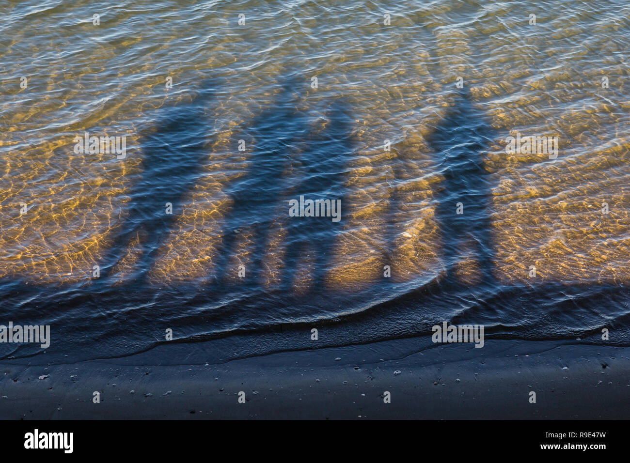 Shadows on sunny wavy water in muted gold and green Stock Photo