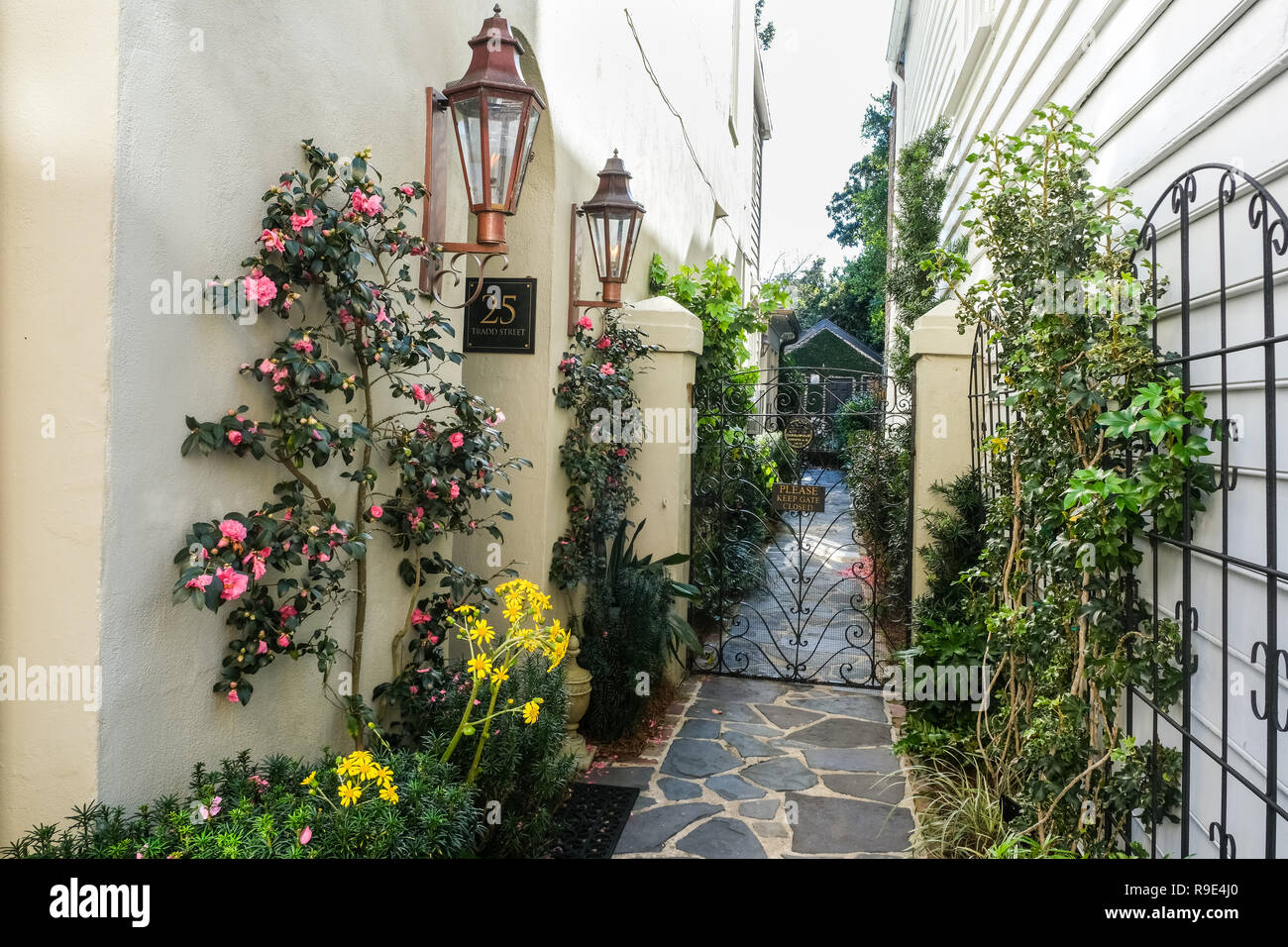 Flowering plants grow along the garden path of a historic home along Tradd Street in Charleston, South Carolina. Stock Photo