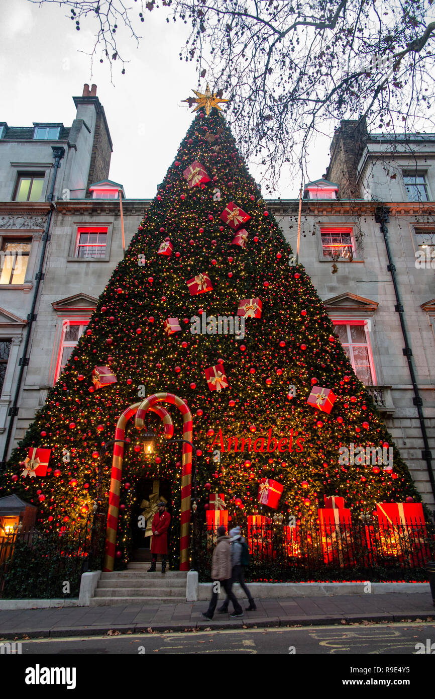 Annabel's nightclub covered in beautiful Christmas decorations, 2018 ...