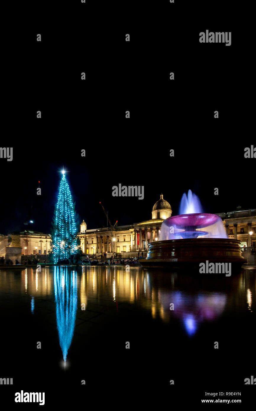 Trafalgar Square's annual Christmas Tree from Norway with the National