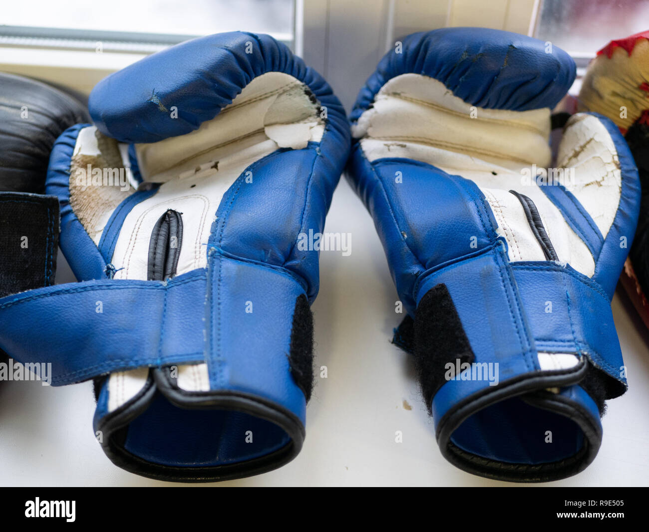 one pair of blue and white boxing gloves. closeup shot in fitness