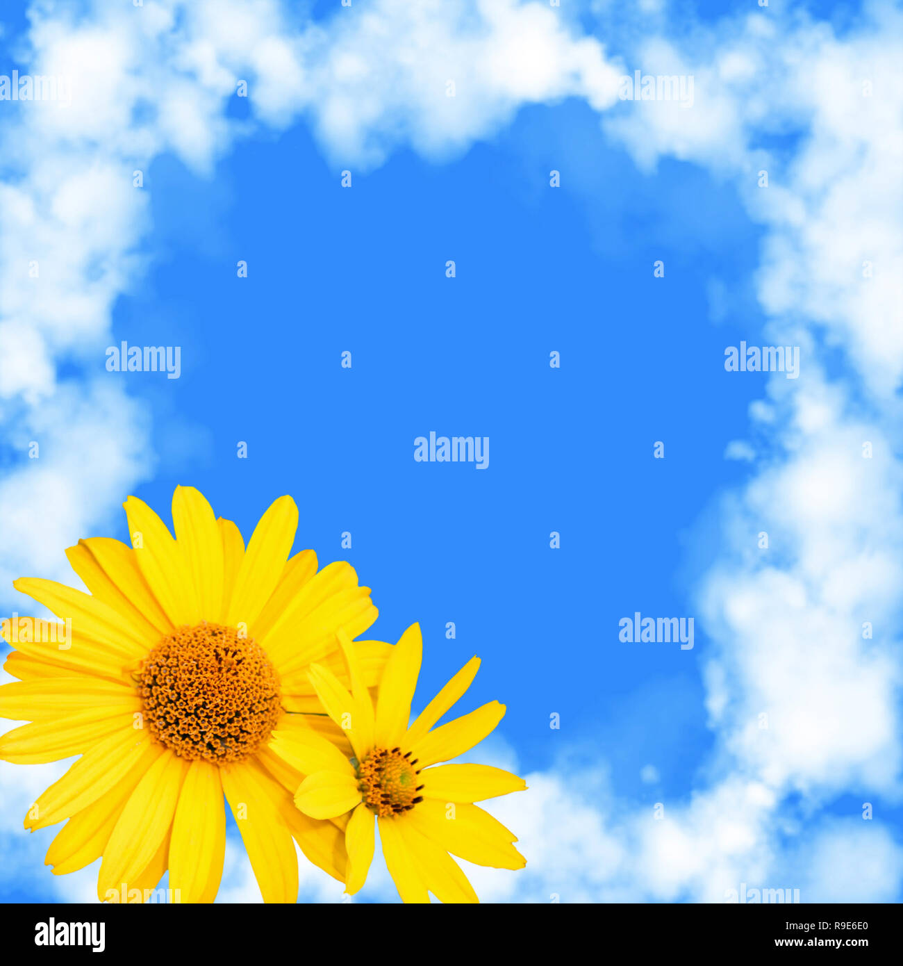 Blue background with a frame from white clouds and flowers Stock Photo