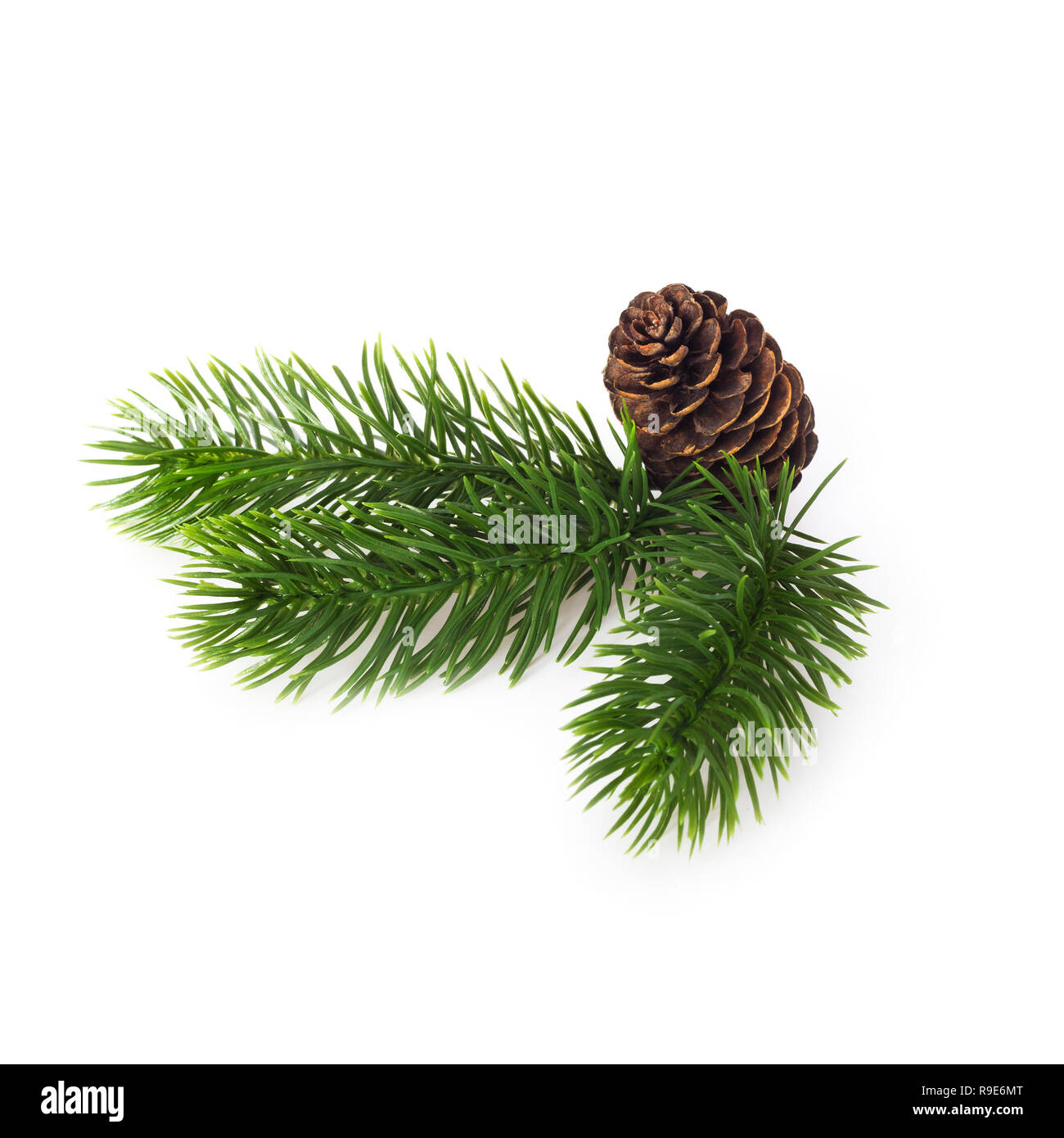 Green coniferous twigs and cones on a white background. New Year's and Christmas. Stock Photo