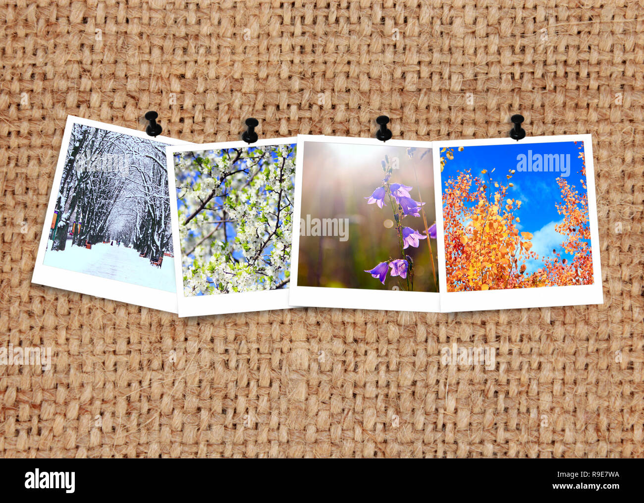 Seasons collage hi-res stock photography and images - Alamy