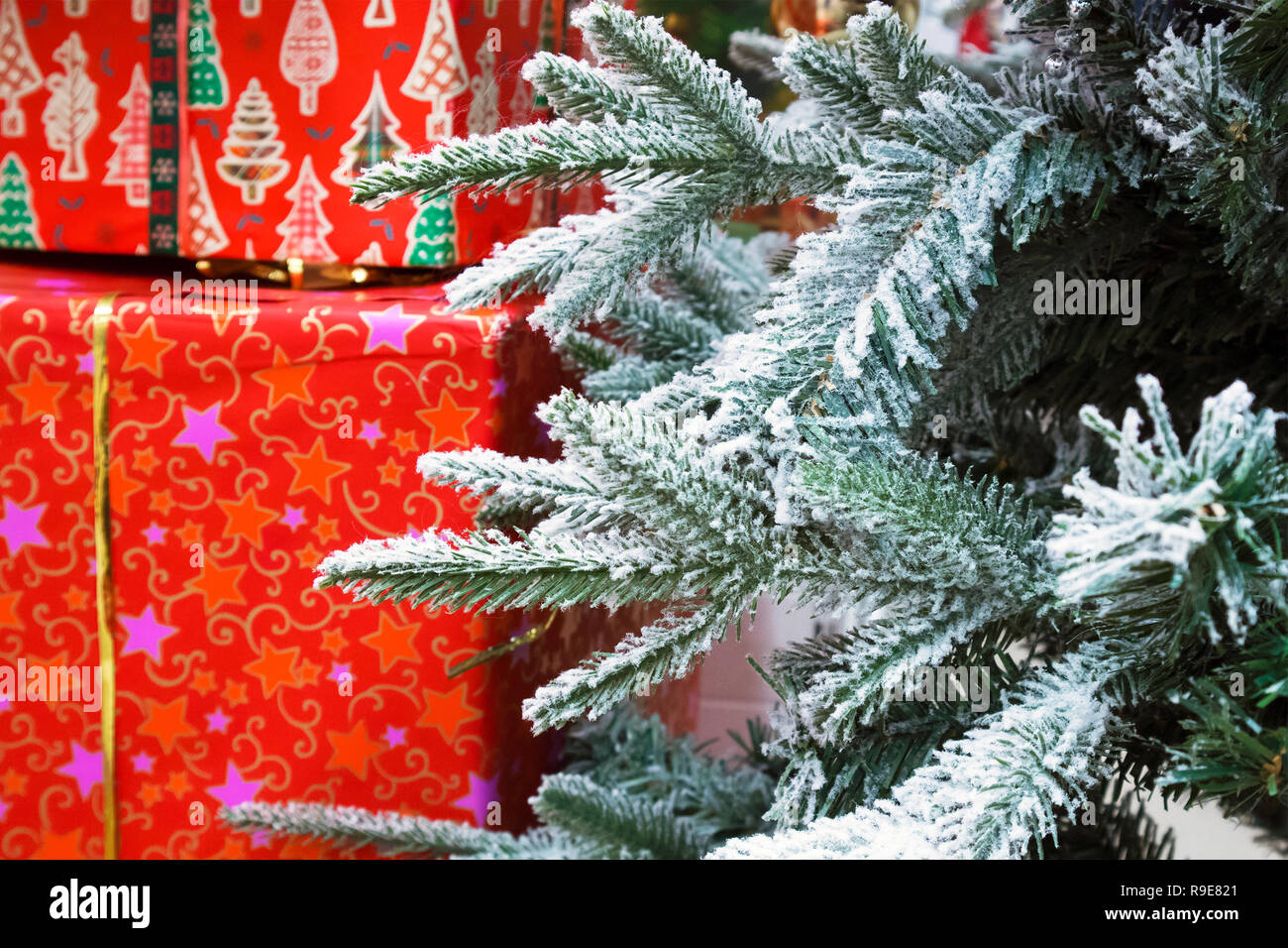 Few branches of Christmas tree and big red boxes with Christmas gifts ...