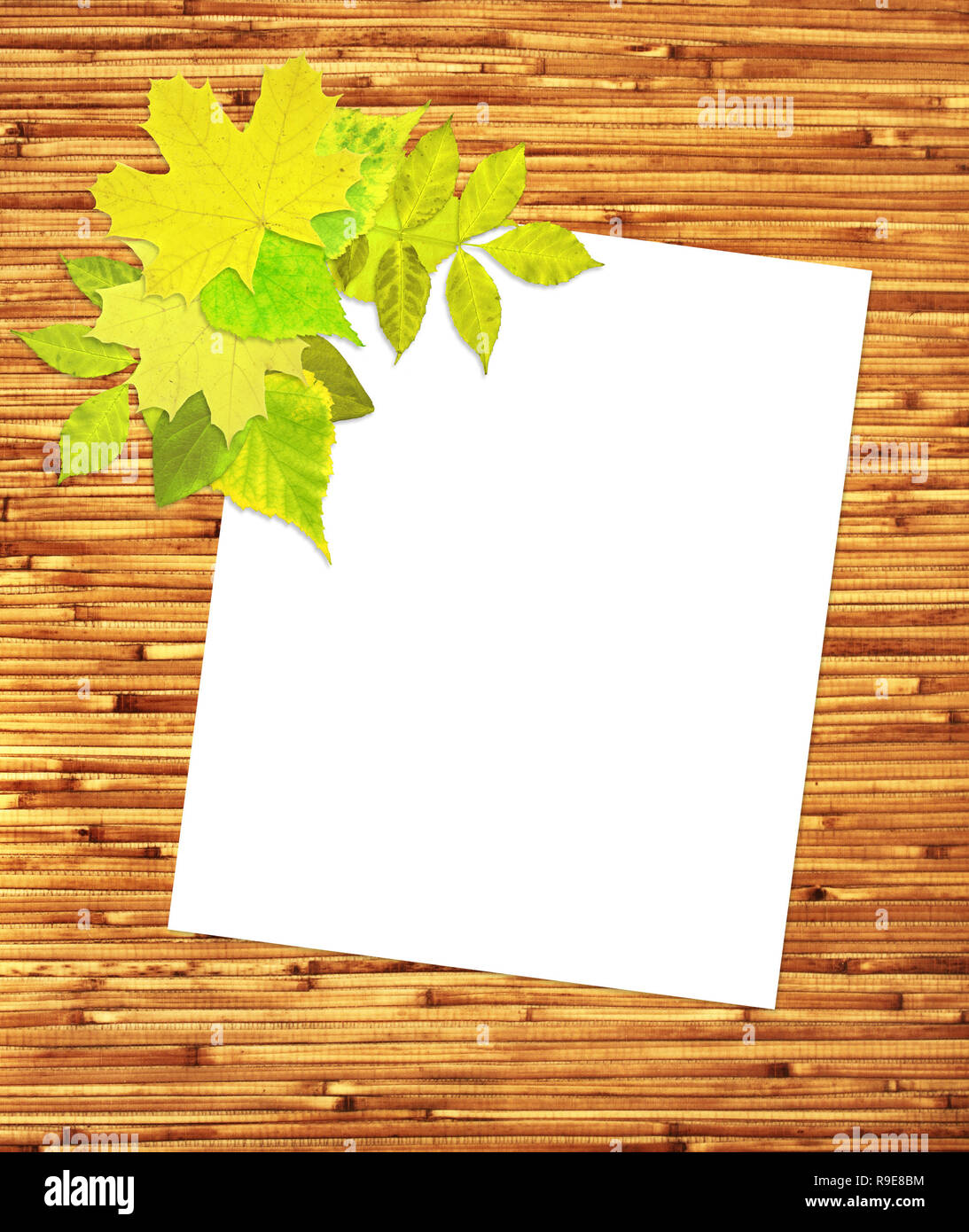 Japanese reed mat, paper sheet and summer leafs Stock Photo - Alamy