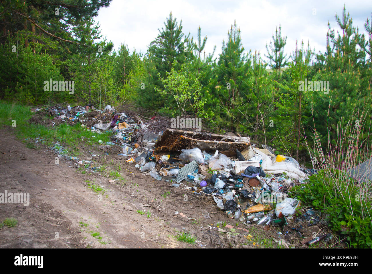 Pollution of the forest by household rubbish. A pile of garbage in the forest. The global