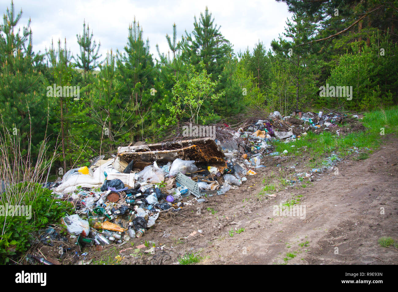 Pollution of the forest by household rubbish. A pile of garbage in the